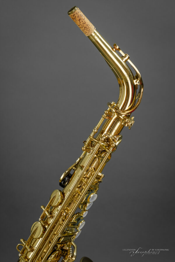 Alto Saxophone SELMEr Paris Mark VI engraving Gravur high F# hoch-F# 1st hand aus erster Hand 1970 177xxx