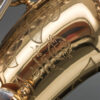 Alto Saxophone Selmer Paris Mark VI Bi-color 1967 152xxx