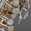Alto Saxophone Selmer Paris Mark VI Bi-color 1967 152xxx